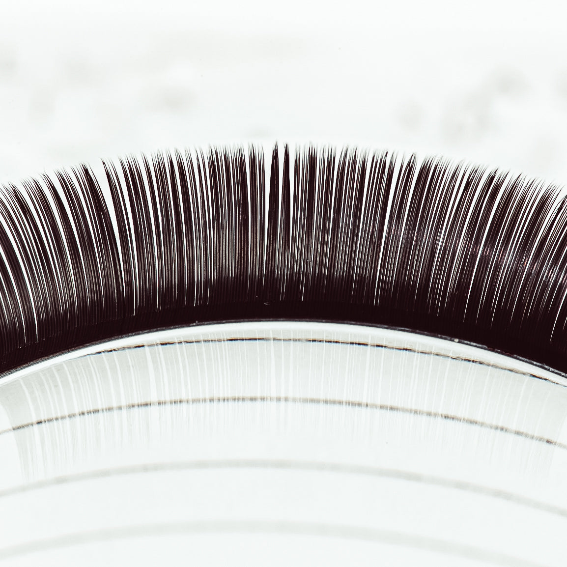 Volume Style Eyelash Extensions on Lash Tile, Extreme Closeup